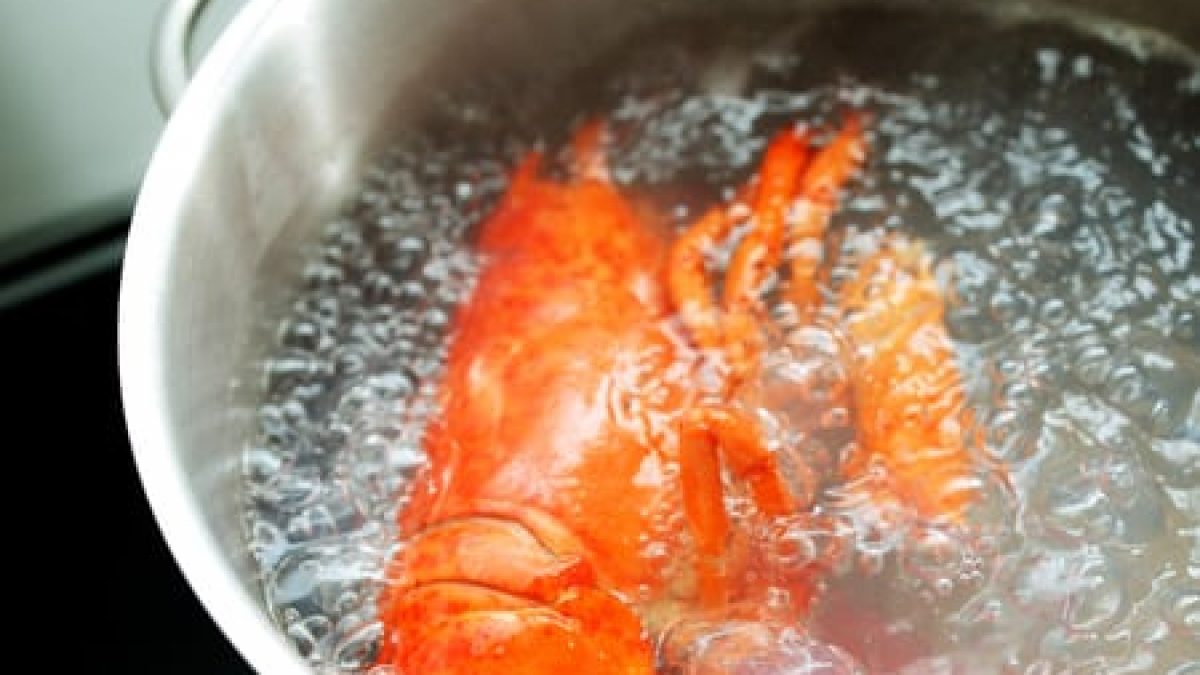 Smart Ways to Boil Lobster Perfectly in 2025: Tips for the Best Flavor