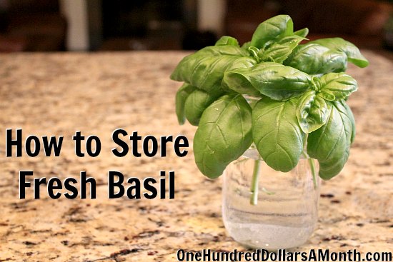 Effective Ways to Store Fresh Basil in 2025 for Maximum Flavor and Longevity