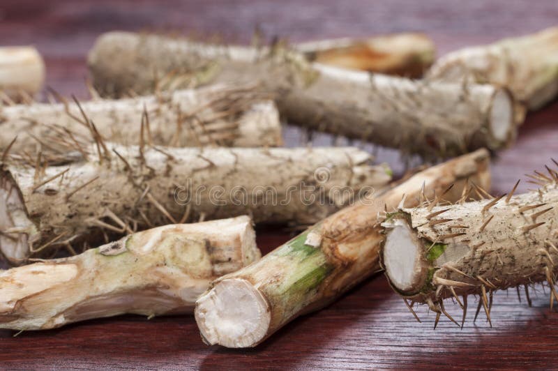 Burdock Root Benefits