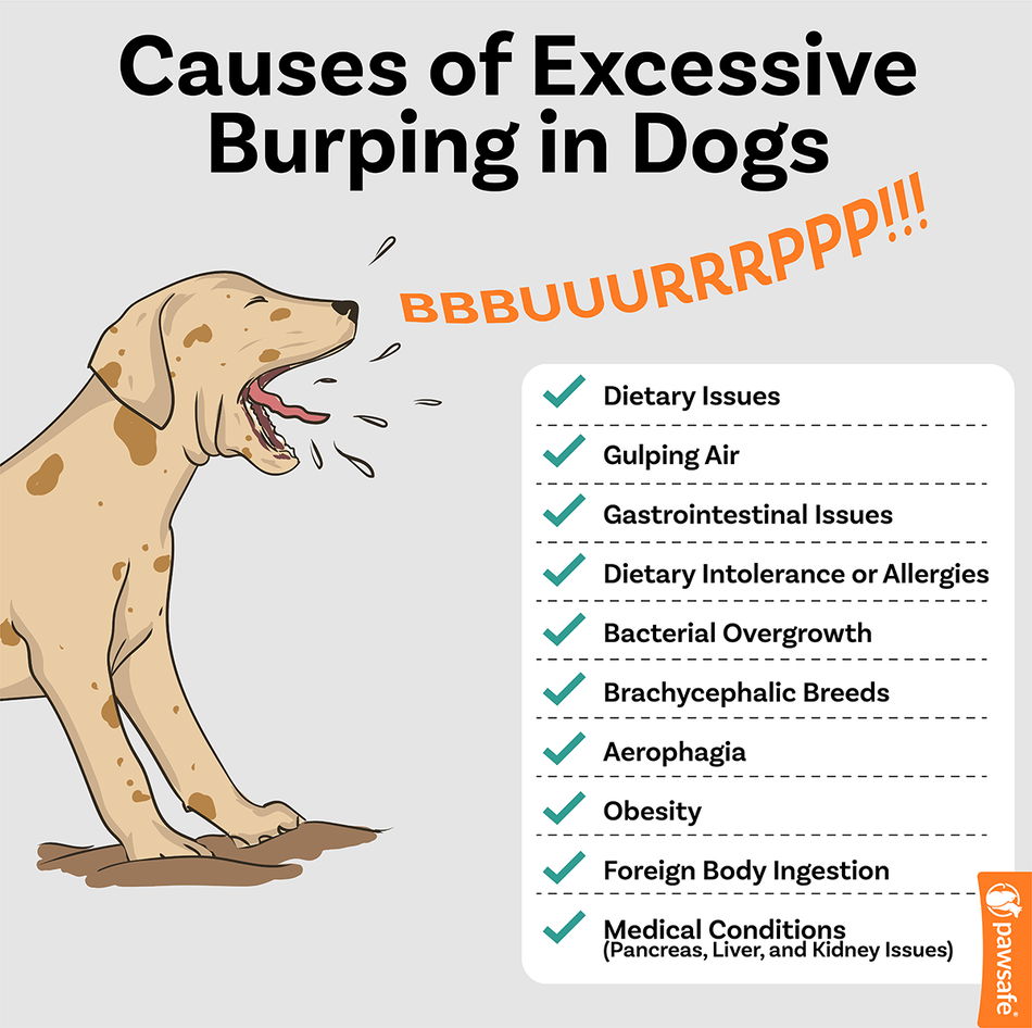 Smart Ways to Relieve Excessive Burping: Discover Practical Tips for 2025