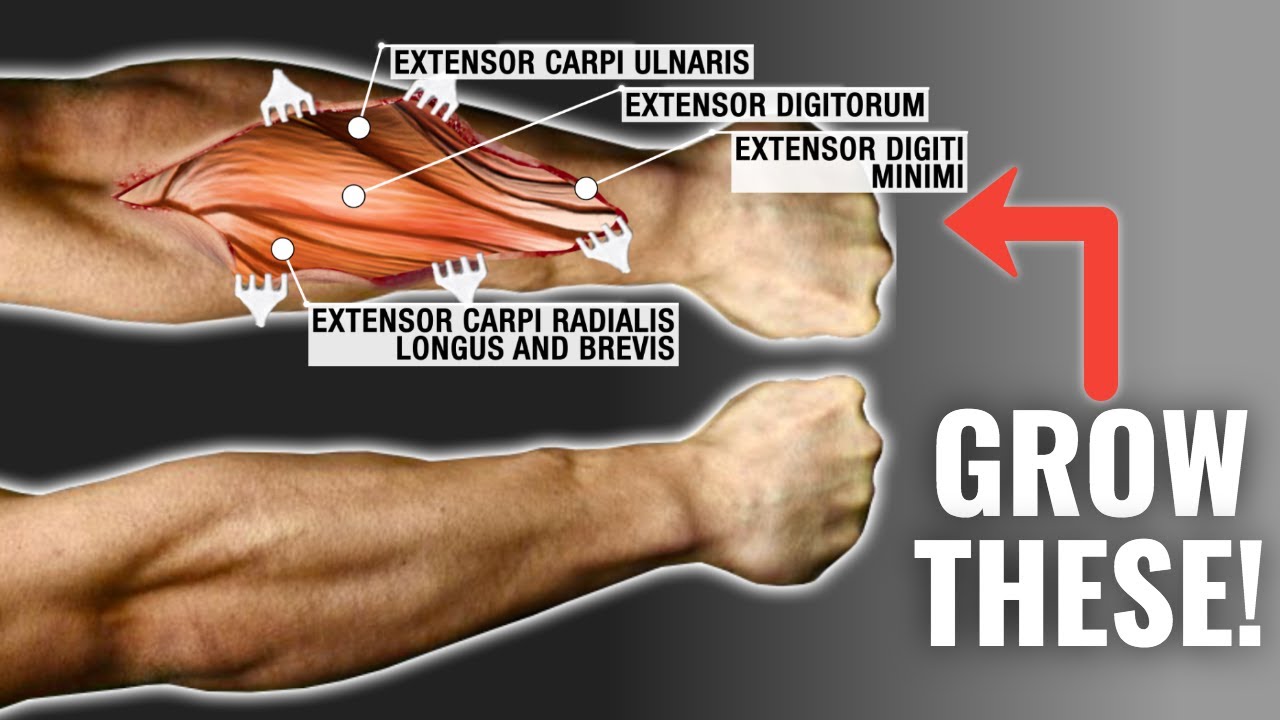 Effective Ways to Get Bigger Forearms in 2025: Proven Techniques for Growth