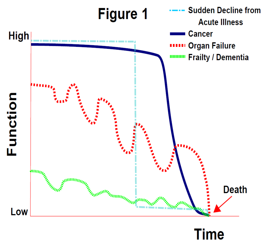 How to Better Check Kidney Function at Home: 5 Easy and Effective Methods to Improve Your Health in 2025