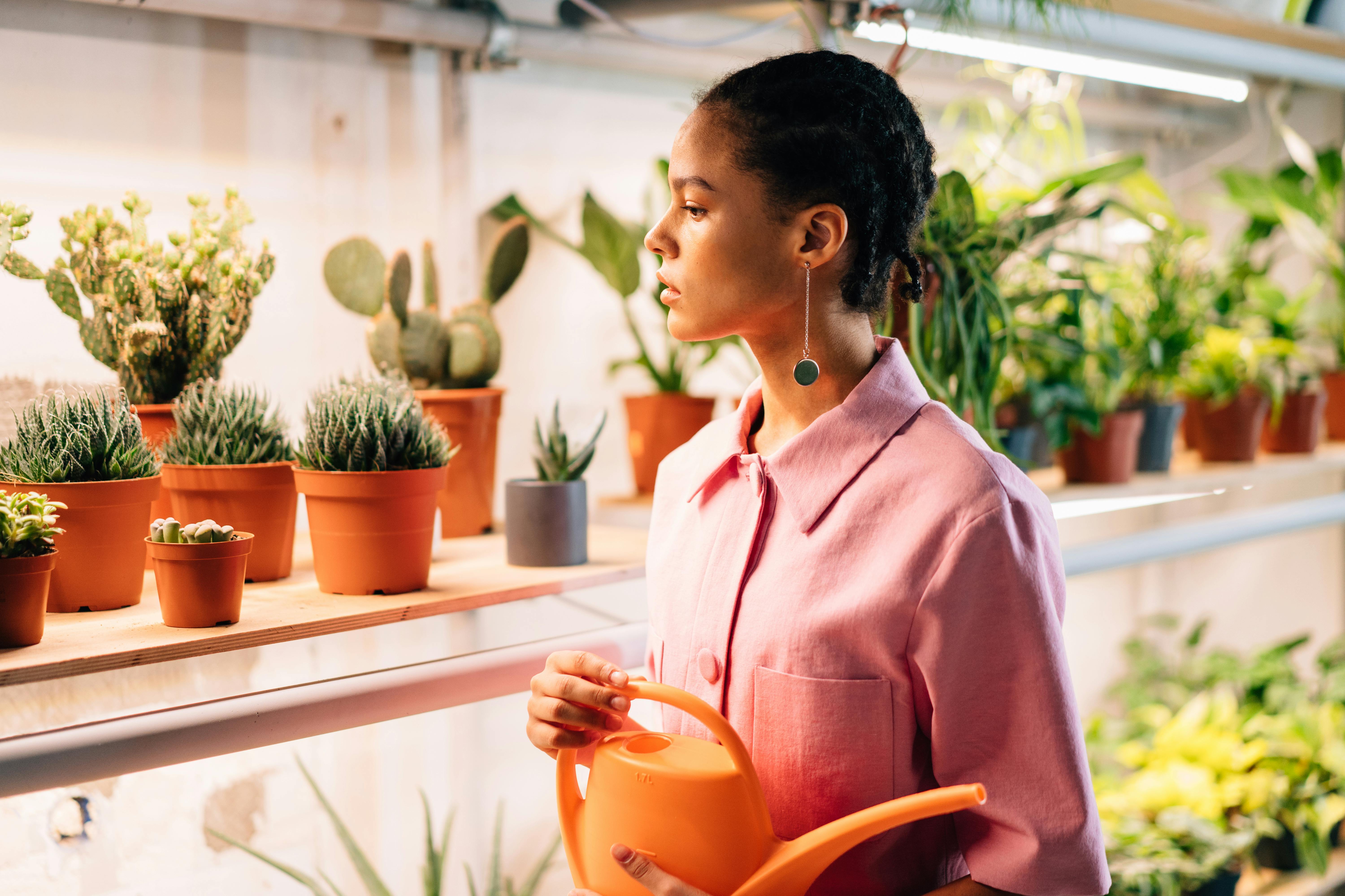 Proper Watering Techniques for Succulents