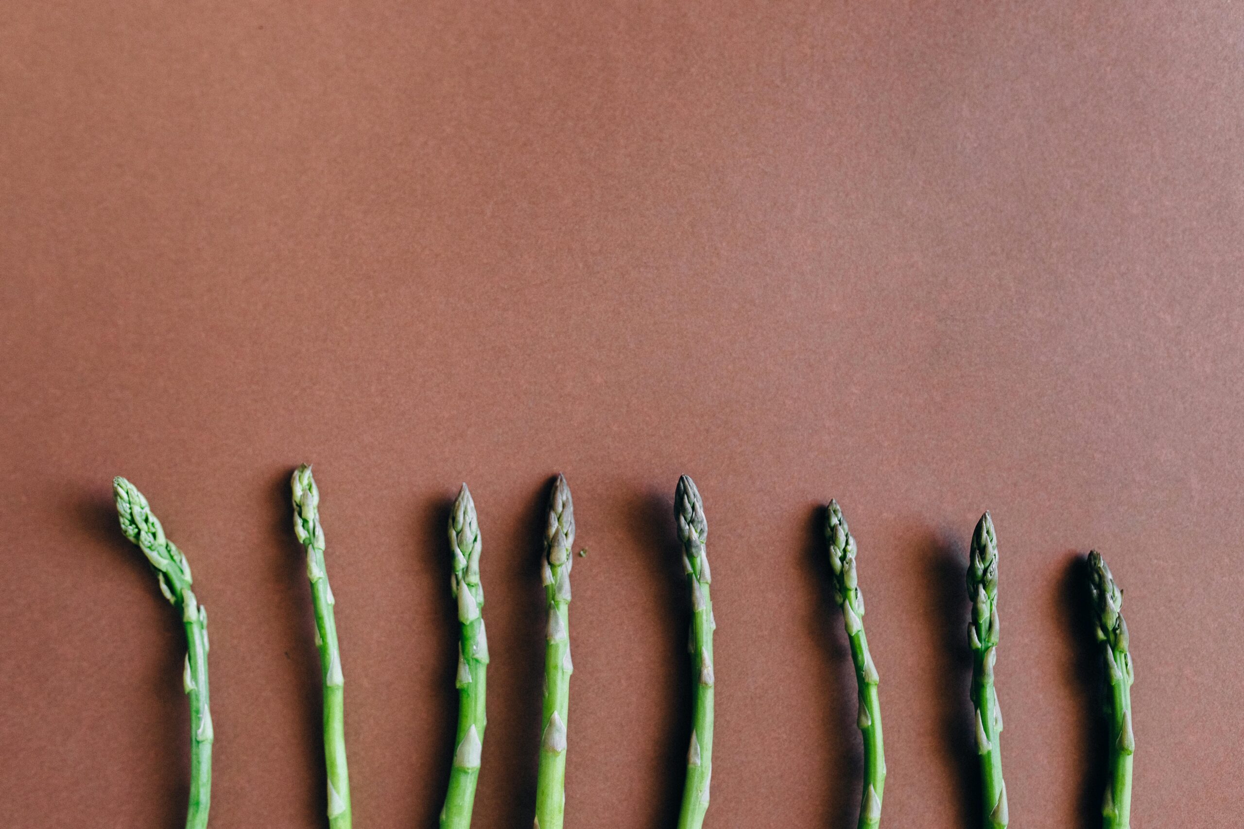 Essential Guide to How to Plant Asparagus for a Successful Harvest in 2025