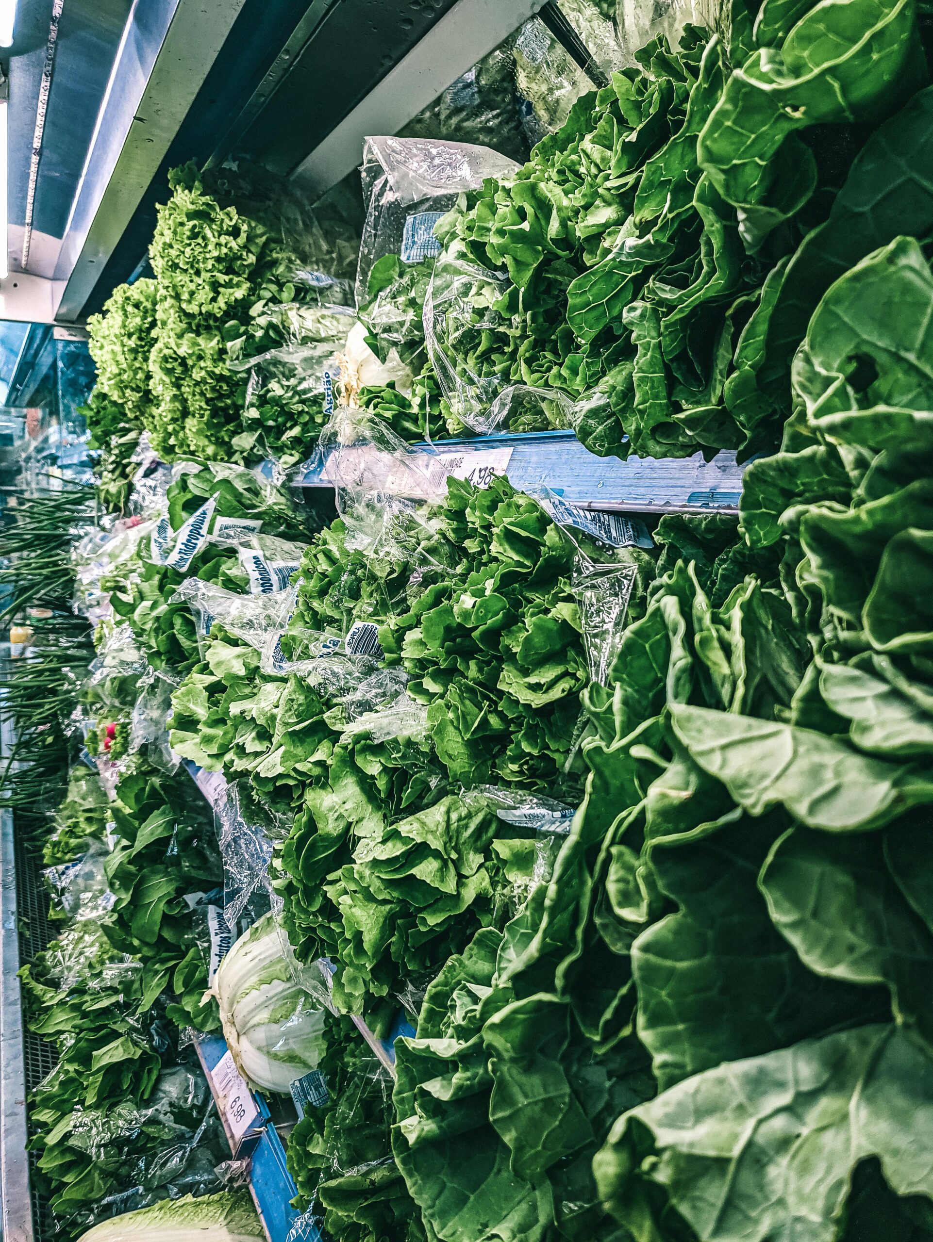 How to Properly Grow Spinach: 5 Effective Ways for Abundant Harvests in 2025